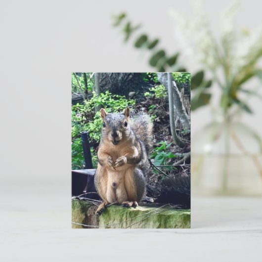 Grappige mannelijke eekhoorn fotografie dier noten briefkaart (Staand voorkant)