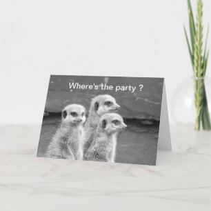 Grappige Meerkat verjaardagskaart Kaart