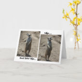Grappige Meerkat Verjaardagskaart; moet taart hebb Kaart (Gele Bloem)