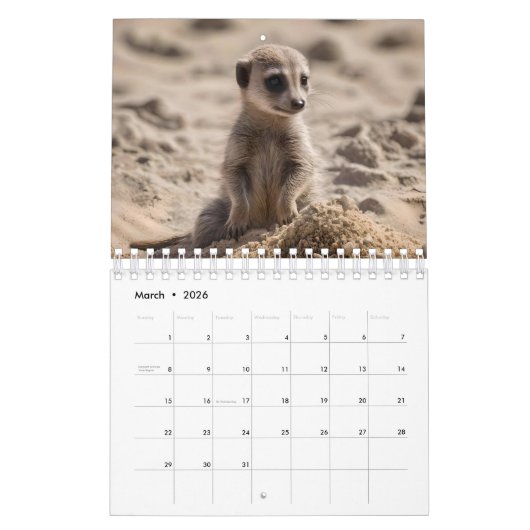Grappige Meerkats die het buitengewone doen, Kalender (Mar 2026)