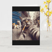 Grappige Meme Humor M Katten Bende Straatkatten Se Kaart (Gele Bloem)