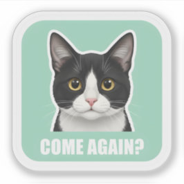 Grappige Meme Kat – “Kom Opnieuw?” Sassy Kat React Sticker