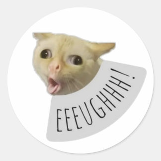grappige meme kat ronde sticker
