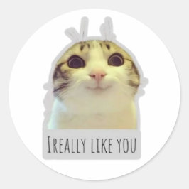 grappige meme kat ronde sticker