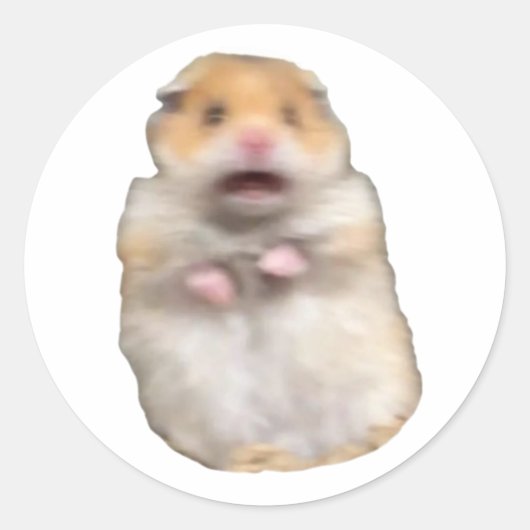 grappige meme kat ronde sticker (Voorkant)