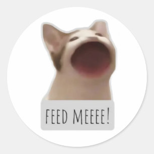 grappige meme kat ronde sticker