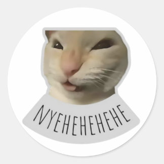 grappige meme kat ronde sticker