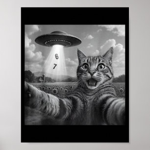 Grappige Meme Kat Selfie Zes Zeven Retro Kat 67 An Poster