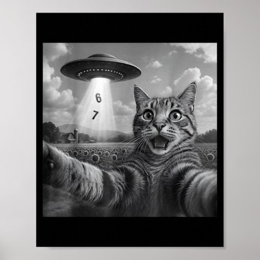 Grappige Meme Kat Selfie Zes Zeven Retro Kat 67 An Poster (Voorkant)