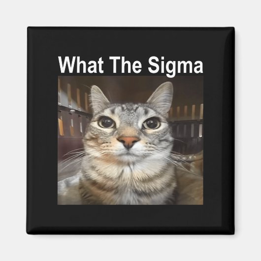 Grappige Meme Kat Wat De Sigma Schattige Kat Meme Magneet (Voorkant)