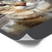 Grappige Meme Kat Wat De Sigma Schattige Kat Meme Poster (Hoek)