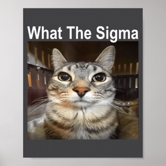 Grappige Meme Kat Wat De Sigma Schattige Kat Meme Poster (Voorkant)