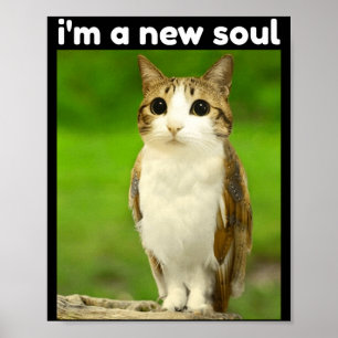 Grappige Meowl Brainrot Meme Kat Uil Poster