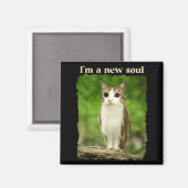 Grappige Meowl Meme, Kat Uil Meme Brainrot Gen Alp Magneet (Voorkant / Achterkant)