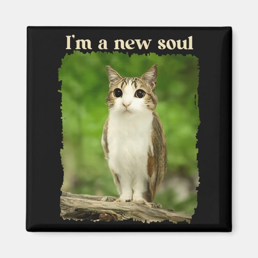 Grappige Meowl Meme, Kat Uil Meme Brainrot Gen Alp Magneet (Voorkant)