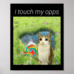 Grappige Meowl Meme, Kat Uil Meme Brainrot Gen Alp Poster