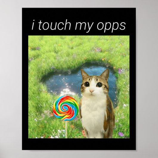 Grappige Meowl Meme, Kat Uil Meme Brainrot Gen Alp Poster (Voorkant)
