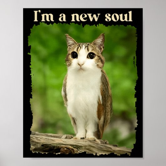 Grappige Meowl Meme, Kat Uil Meme Brainrot Gen Alp Poster (Voorkant)