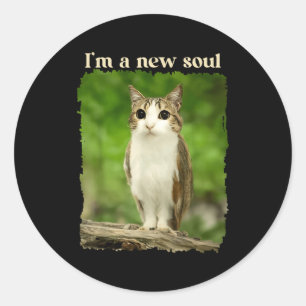 Grappige Meowl Meme, Kat Uil Meme Brainrot Gen Alp Ronde Sticker