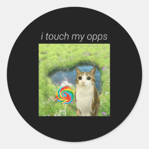 Grappige Meowl Meme, Kat Uil Meme Brainrot Gen Alp Ronde Sticker