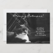 Grappige Meowy Kat Rommel Kerstmis Feestdagenkaart (Voorkant)