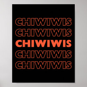Grappige Mexicaanse Latino Chicano Cinco de Mayo C Poster
