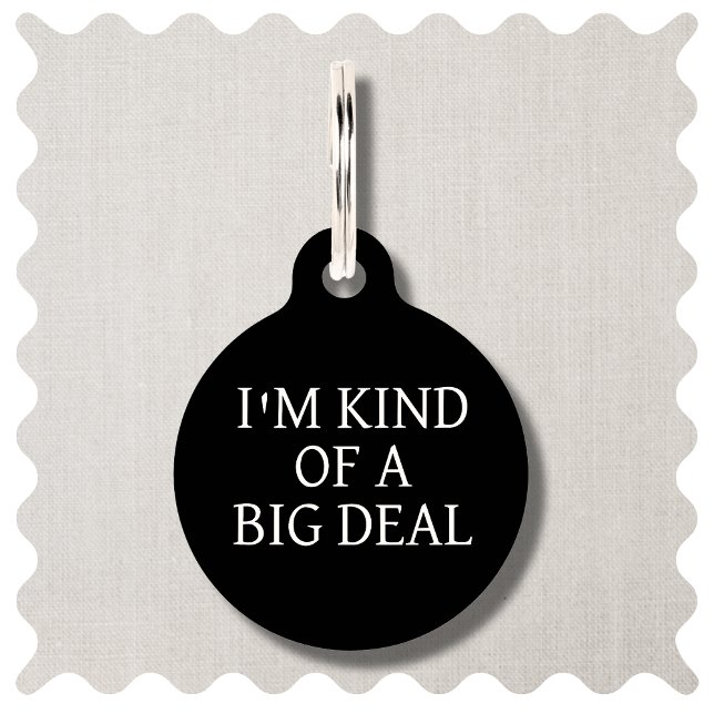 Grappige Moderne Eenvoudige Custom Zwart Ronde Hon Huisdierpenning (Funny "Im Kind of a Big Deal" Dog ID Tag in Modern Black)