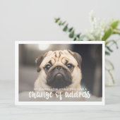 Grappige Moderne verandering van adres Pet Dog Fot Kaart (Staand voorkant)