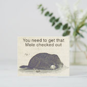 Grappige Mole Groetjes Kaart, Animal Birthday Humo Briefkaart (Staand voorkant)