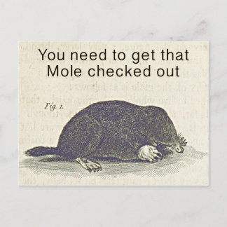 Grappige Mole Groetjes Kaart, Animal Birthday Humo Briefkaart