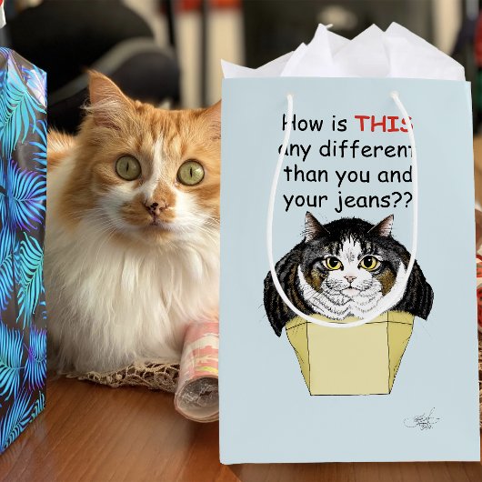 Grappige Mollige Tabby Kat Doos Medium Cadeauzakje