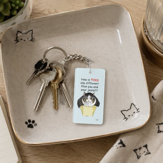 Grappige Mollige Tabbykat Doos Sleutelhanger