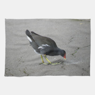 Grappige Moorhen Neem een strik keukenhanddoek