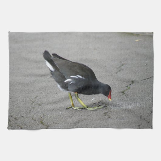 Grappige Moorhen Neem een strik keukenhanddoek (Horizontaal)