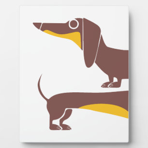 Grappige mops dachshond voor lange hondenbezitter fotoplaat