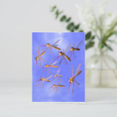 Grappige muggen briefkaart (Staand voorkant)