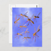 Grappige muggen briefkaart (Voorkant / Achterkant)