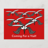 Grappige muggen vliegen komen voor een bezoek briefkaart (Voorkant)