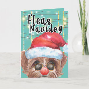 Grappige Multipoo hond Kerstvlooien navidog Kaart