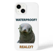 Grappige natte zeehondpup