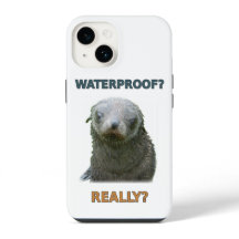 Grappige natte zeehondpup