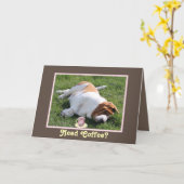 Grappige "Need Coffee" Verjaardag Kaart w / Basset (Gele Bloem)