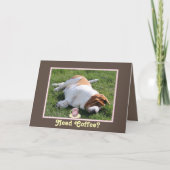Grappige "Need Coffee" Verjaardag Kaart w / Basset (Voorkant)