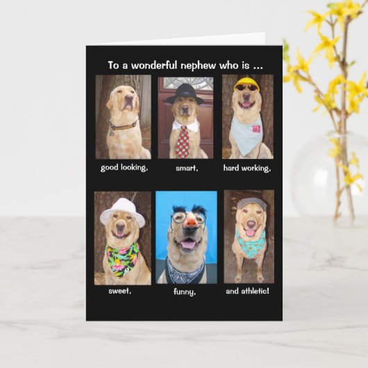 Grappige neefje verjaardag kaart (Gele Bloem)