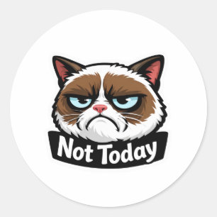 Grappige "Niet Vandaag" Chagrijnige Kat Gezicht St Ronde Sticker