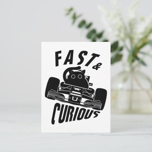 Grappige nieuwsgierige auto rijden kat briefkaart (Staand voorkant)