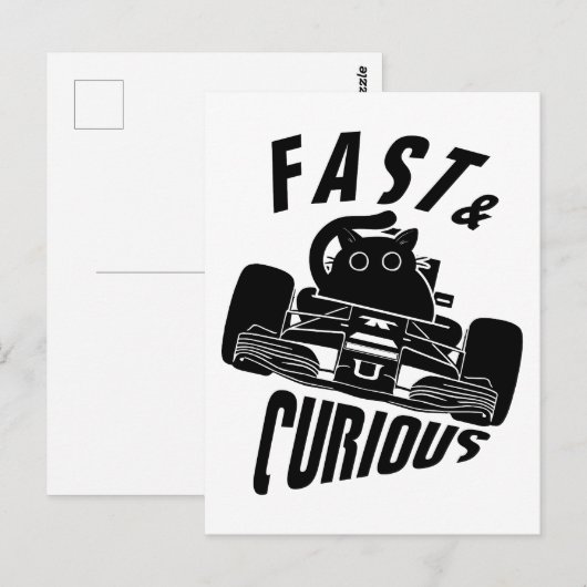 Grappige nieuwsgierige auto rijden kat briefkaart (Voorkant / Achterkant)