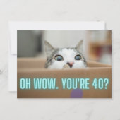 Grappige Nieuwsgierige Kat 40e Verjaardag Kaart (Voorkant)