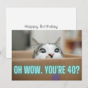Grappige Nieuwsgierige Kat 40e Verjaardag Kaart