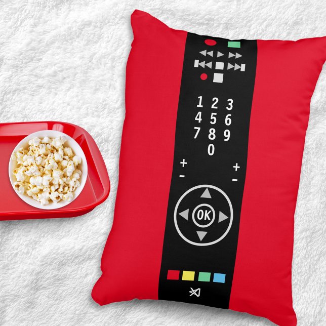 Grappige Novelty TV afstandsbediening Televisie Accent Kussen (A cool accent pillow with amusing TV remote control design)